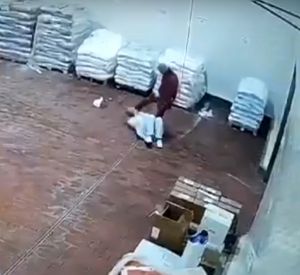 Видео: В Гагарине работник мясоперерабатывающего завода жестоко избил девушку